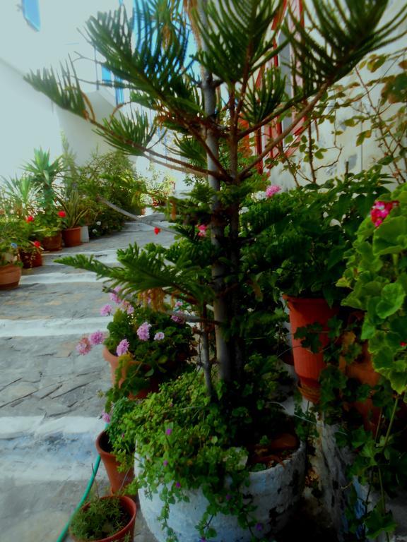 Angeliki Pension Katápola Exterior foto